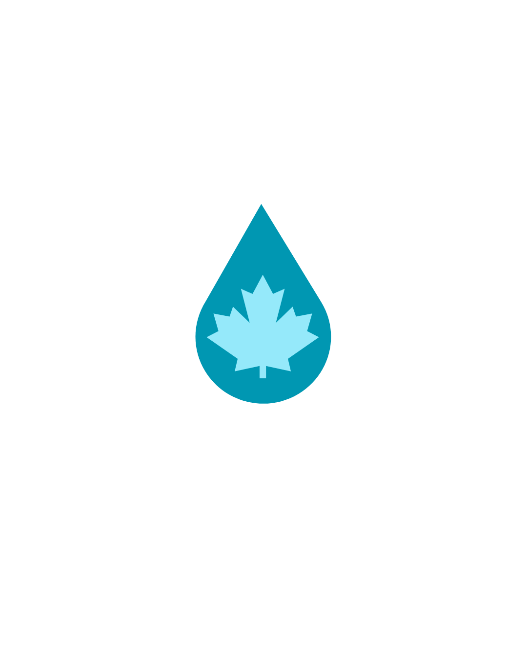 Nettovera